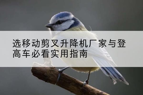矿区电动升降机厂家-选移动剪叉升降机厂家与登高车必看实用指南