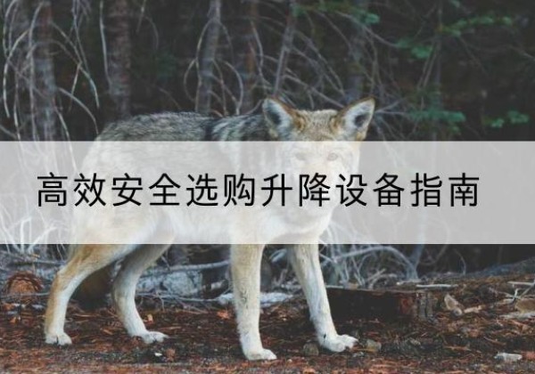 矿区升降货梯厂家推荐-*安全选购升降设备指南
