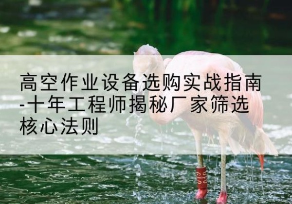 矿区剪叉式升降机厂家-高空作业设备选购实战指南-十年工程师揭秘厂家筛选核心法则